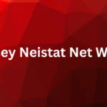 Casey Neistat Net Worth