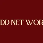 Zedd Net Worth