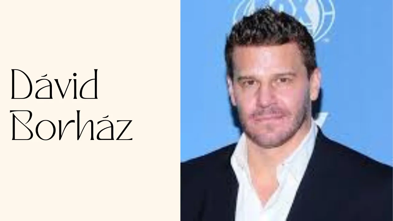 Dávid Borház